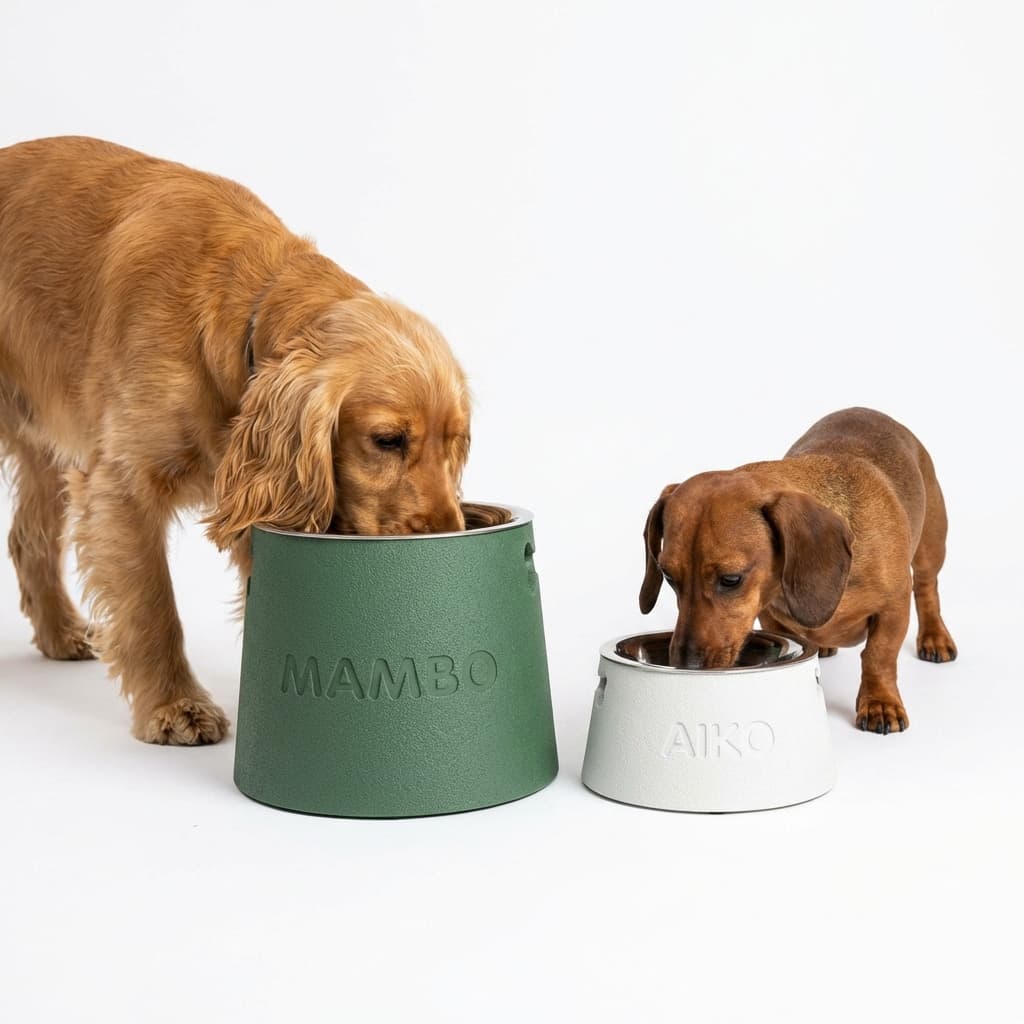 Cocker spaniels un dakshunds ēd no Mambo paceltām bļodām